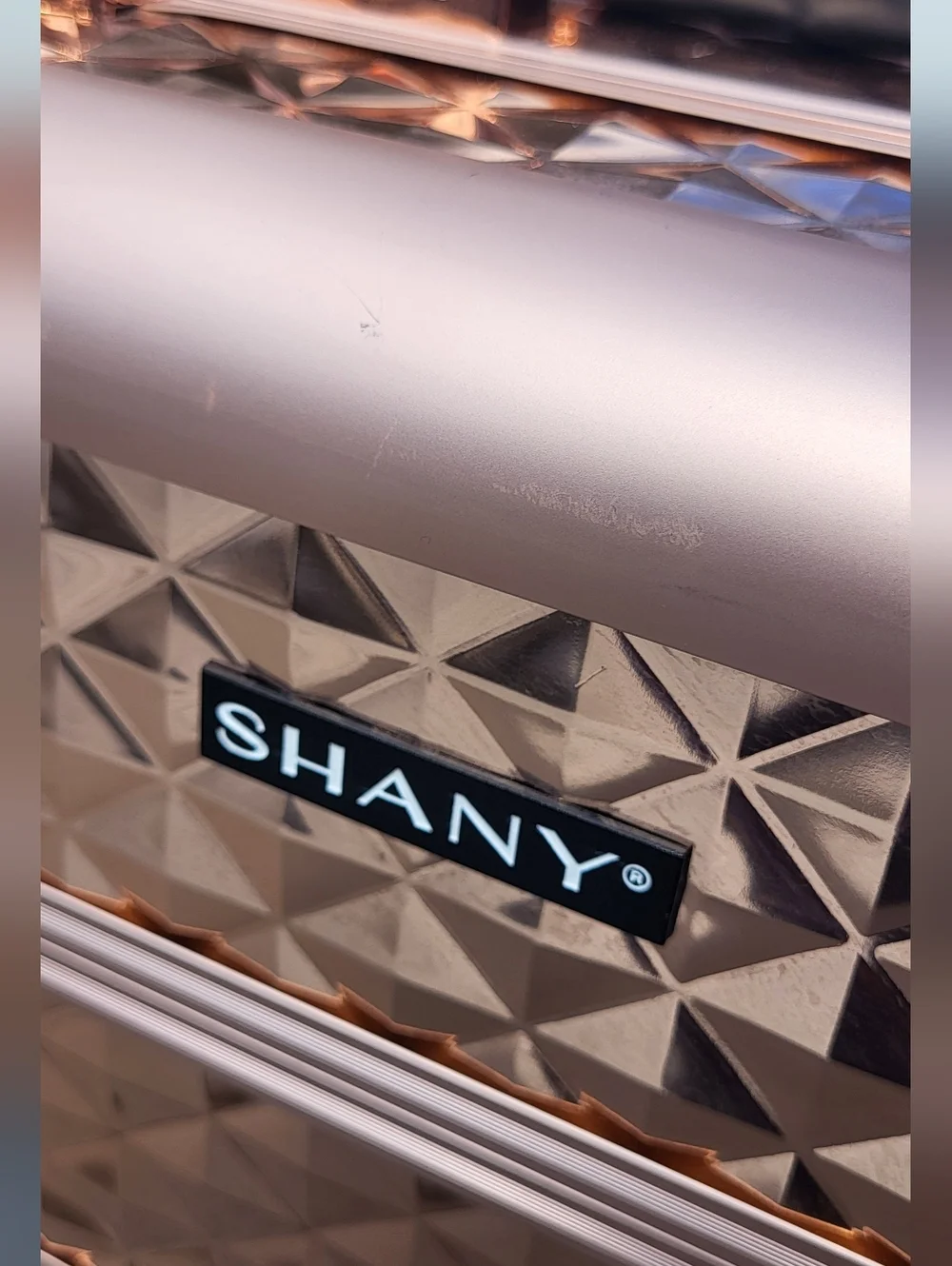 SHANY Premier Fantasy Professional Makeup Train Cosmetic Travel Makeup Case